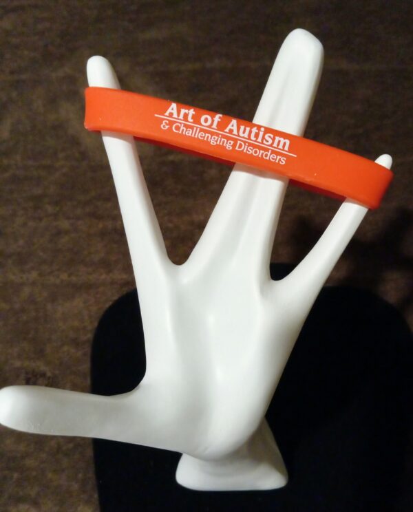Autism Silicone Bracelet - Image 2
